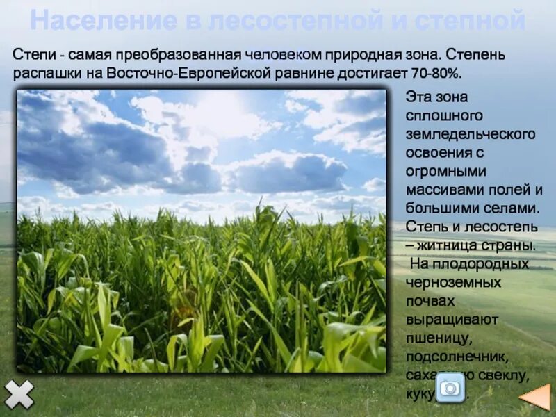 Какая природно хозяйственная зона наиболее густо. Природно-территориальный комплекс Восточно-европейской равнины. Природные комплексы Восточно европейской равнины. Лесостепи и степи Восточно европейской равнины. Зона сплошного освоения это.