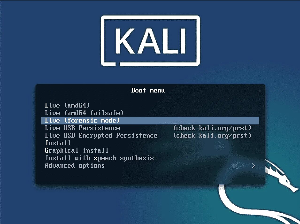 Kali linux how to. Кали линукс. linux кали. kali linux live. kali live usb.