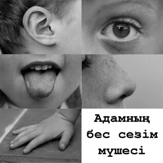 Үлкен есегі бар әдемі қыз