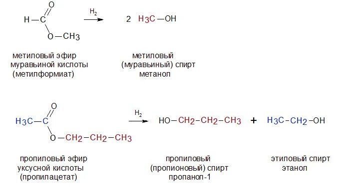 Гидролиз метилформиата. Гидрирование сложных эфиров. Гидрирование сложных эфиров реакция. Гидратация сложных эфиров реакция. Сложные эфиры химия химические свойства.