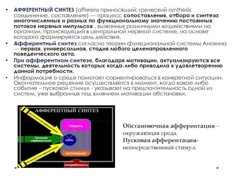 Пусковая афферентация. Обстановочная афферентация. Афферентный Синтез. Стадия афферентного синтеза. Афферентация это