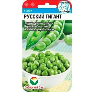 Русский горох