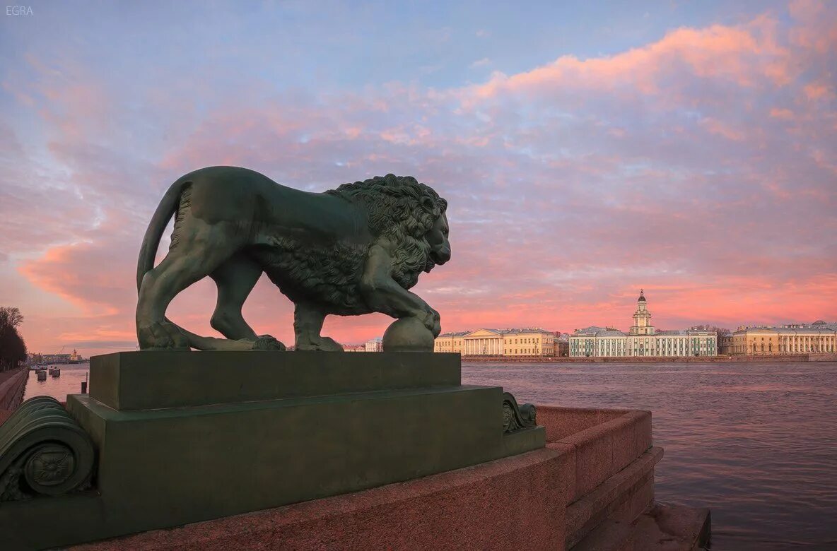 Санкт петербург где львы. Львы на набережной в Санкт-Петербурге. Каменные львы в Санкт-Петербурге. Львы у Адмиралтейства в Санкт-Петербурге. Питер каменные львы.