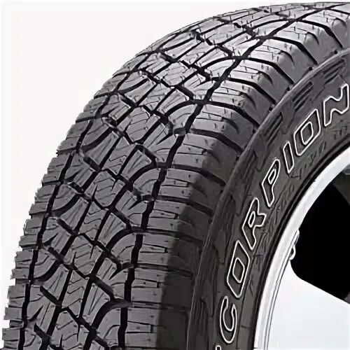 Pirelli 265/65 r17. Pirelli Scorpion ATR 205/75 r15 99 всесезонная. Pirelli Scorpion ATR. Pirelli Scorpion ATR 205/75 r15.