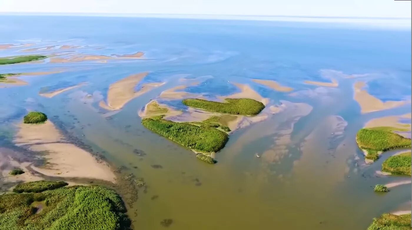 Устье картинки. Астрахань Устье Волги. Каспийское море Дельта Волги. Дельта реки Волга. Прикаспийская низменность Дельта Волги.