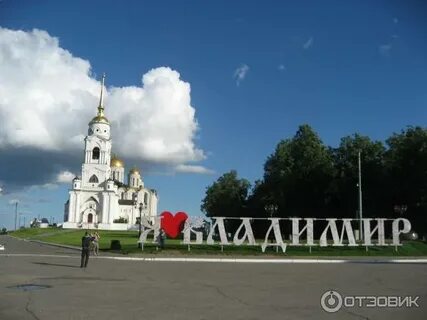 Где во владимире принимает