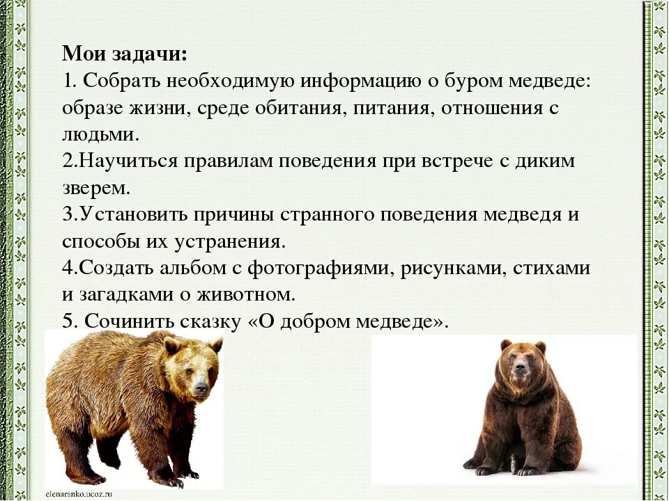 Как приспособились к жизни медведи. Среда обитания медведя. Медведь черты приспособленности к среде. Медведь приспособление к среде. Среда обитания бурого медведя.