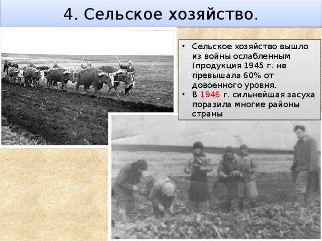 Сельское хозяйство ссср. Голод 1946-1947 фотохроника. Засуха 1946 год. Засуха 1946 год. Засуха 1946 год.