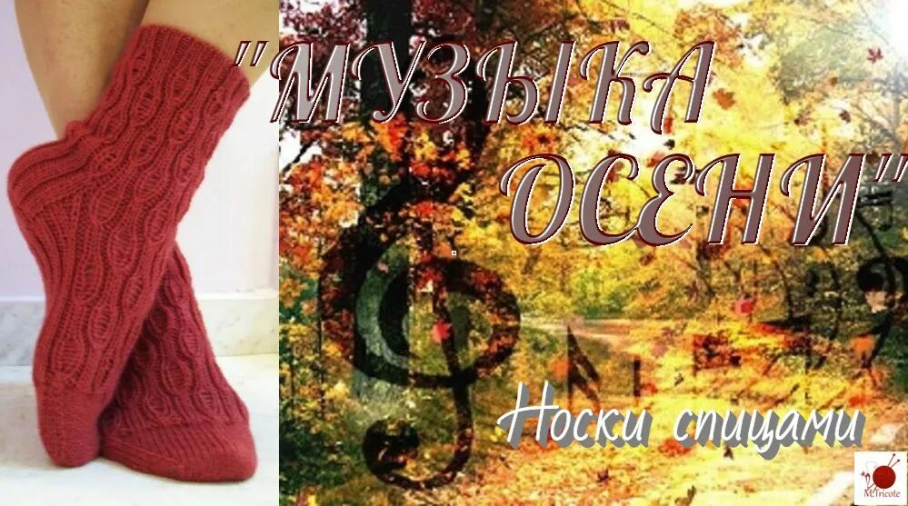 Носки мелодии. Alter socks. V noski песня. Сектор газа носки. Носки с фредди меркури.