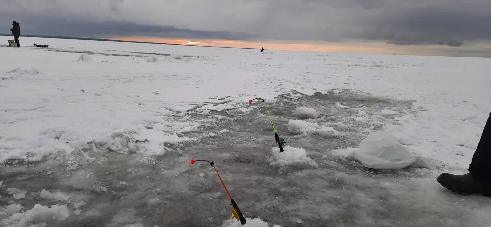 Дамба южная ветка финский залив рыбалка. Новости с водоемов питерский 2023. Новости с водоемов питерский 2023. Новости с водоемов питерский 2023. Рыбалка сегодня на заливе.
