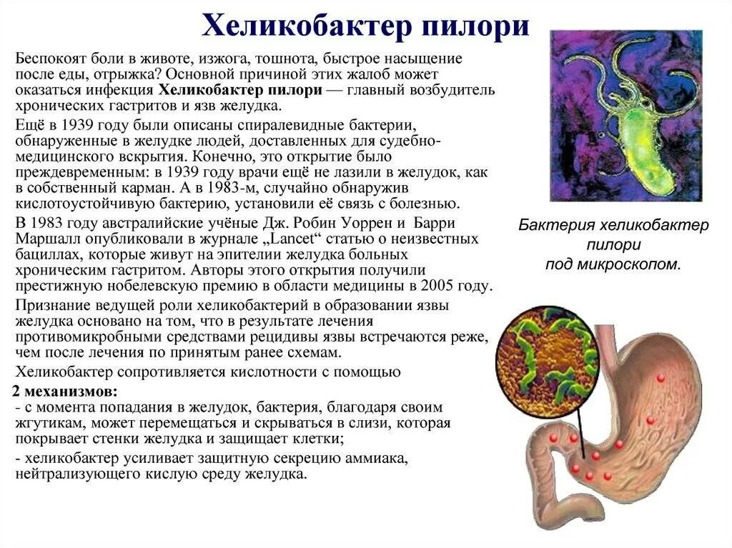 Язвенная болезнь желудка хеликобактер. Язва желудка хеликобактер. Хеликобактер пилори язвенная болезнь. Язва желудка хеликобактер пилори. Как можно заразиться хеликобактер