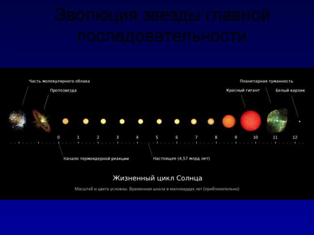 Главная последовательность звезд. Жизненный цикл солнца схема. Эволюция звезд. Звёзды главной последовательности фото.