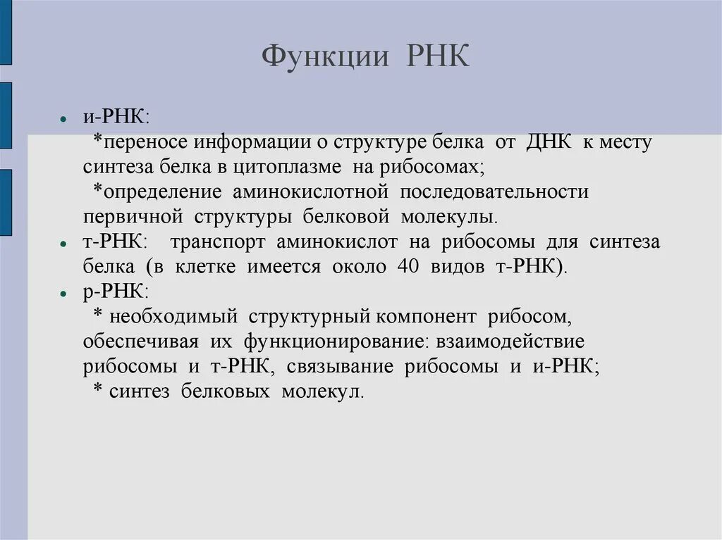 Каковы типы рнк и их функции. Функции рнк. перечислите функции рнк. ирнк функции. функции рнк кратко.