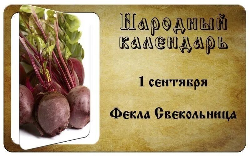 Свекольница девкам невольница. Свекольница девкам невольница. Свекольница девкам невольница. Свекольница. Свекольница девкам невольница.
