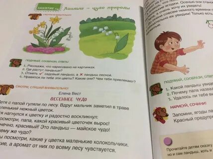 Солнечный зайчик предложение