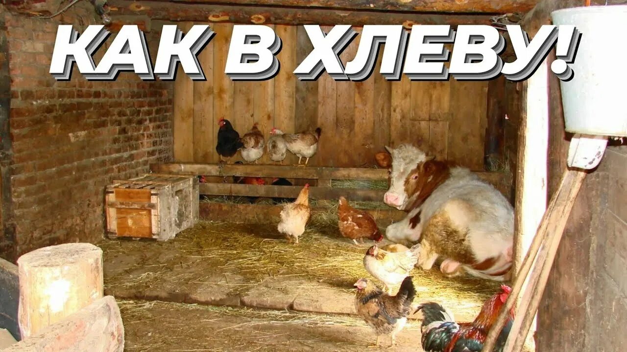Что может быть в сарае