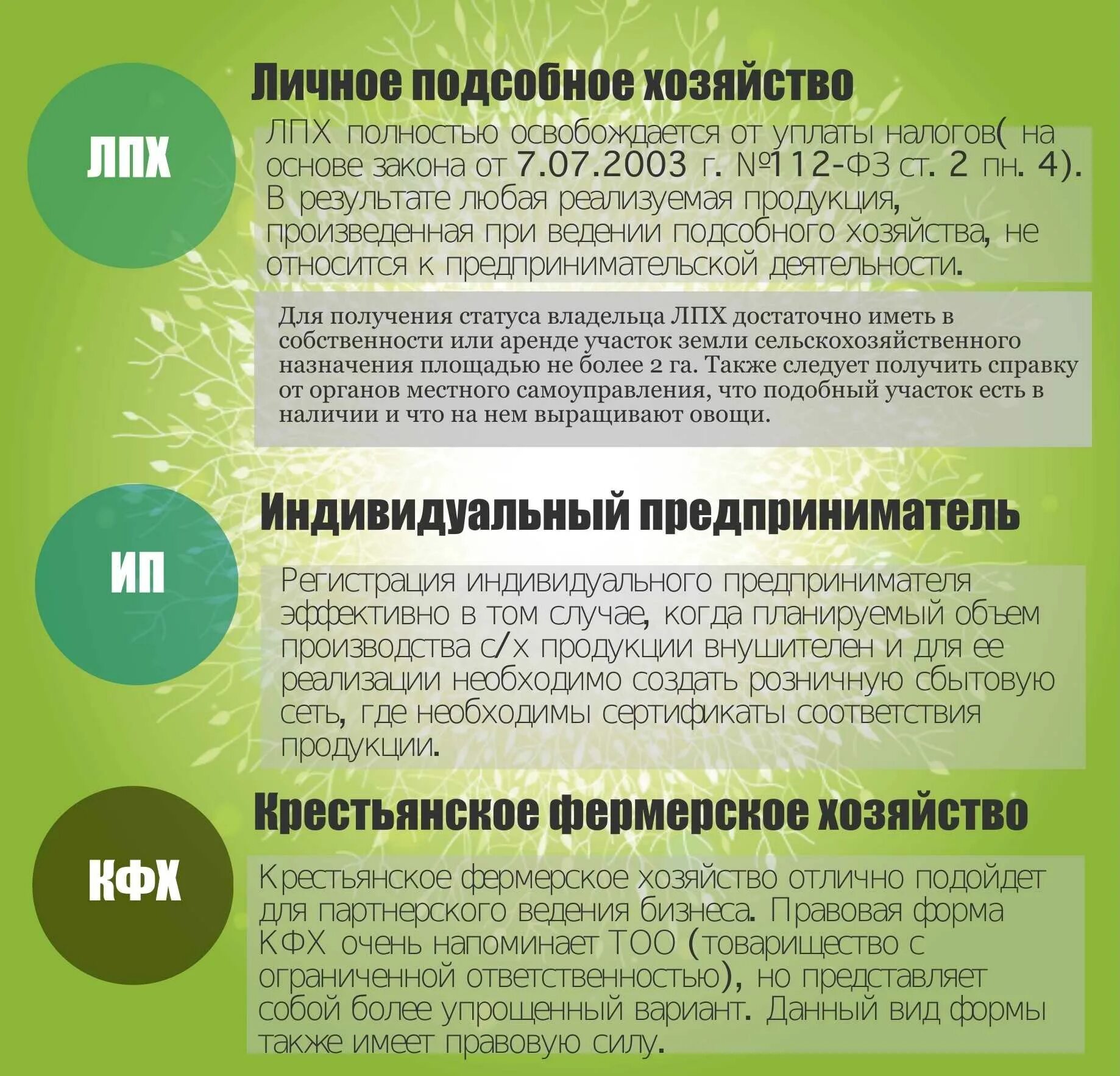 Как открыть лпх. План ведения личного подсобного хозяйства. товары для ведения личного подсобного хозяйства. лпх для ведения личного подсобного хозяйства. личное подсобное хозяйство пример.
