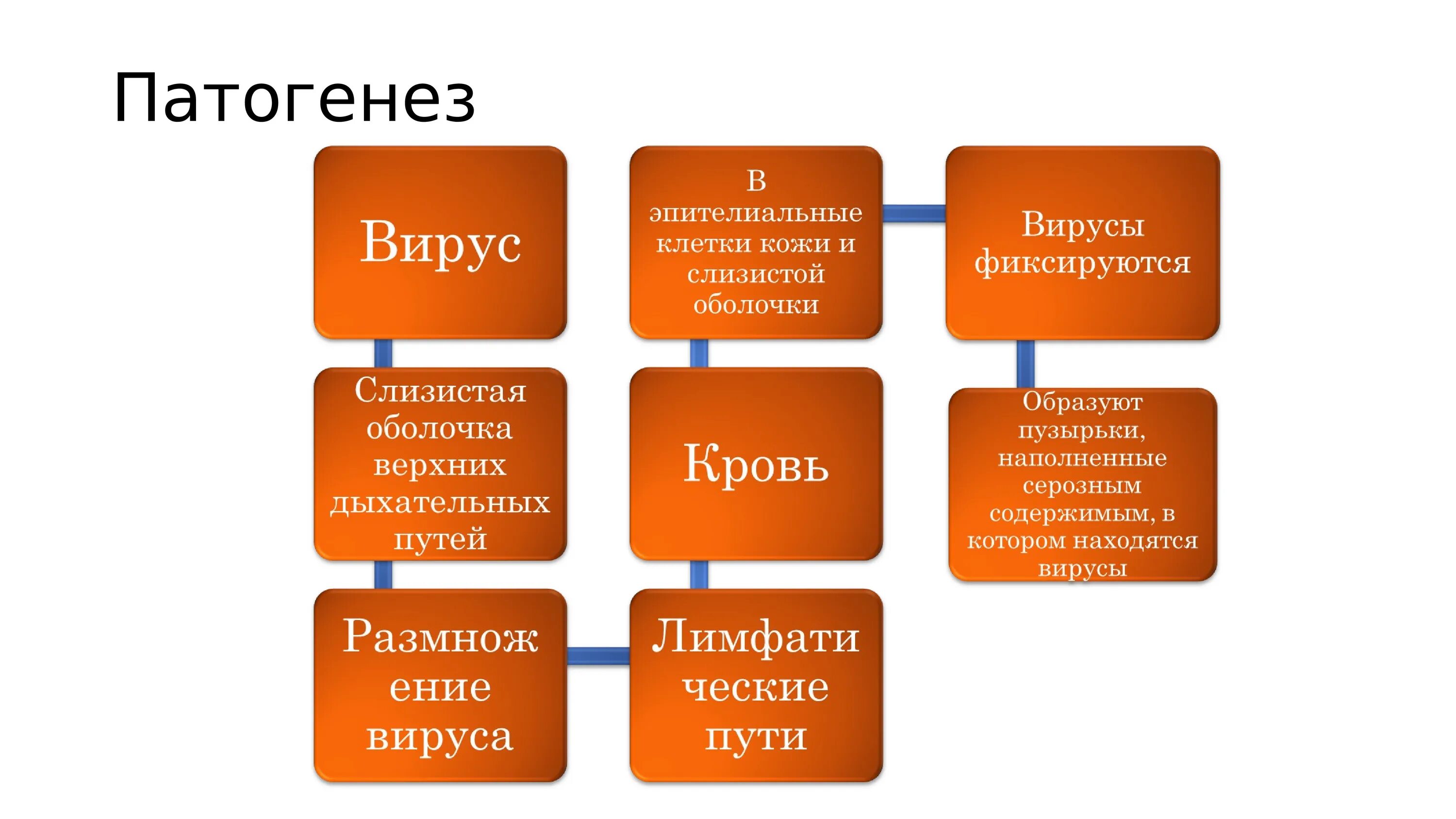 Патогенез оспы. Патогенез ветряной оспы схема. ветряная оспа патогенез. натуральная оспа патогенез.