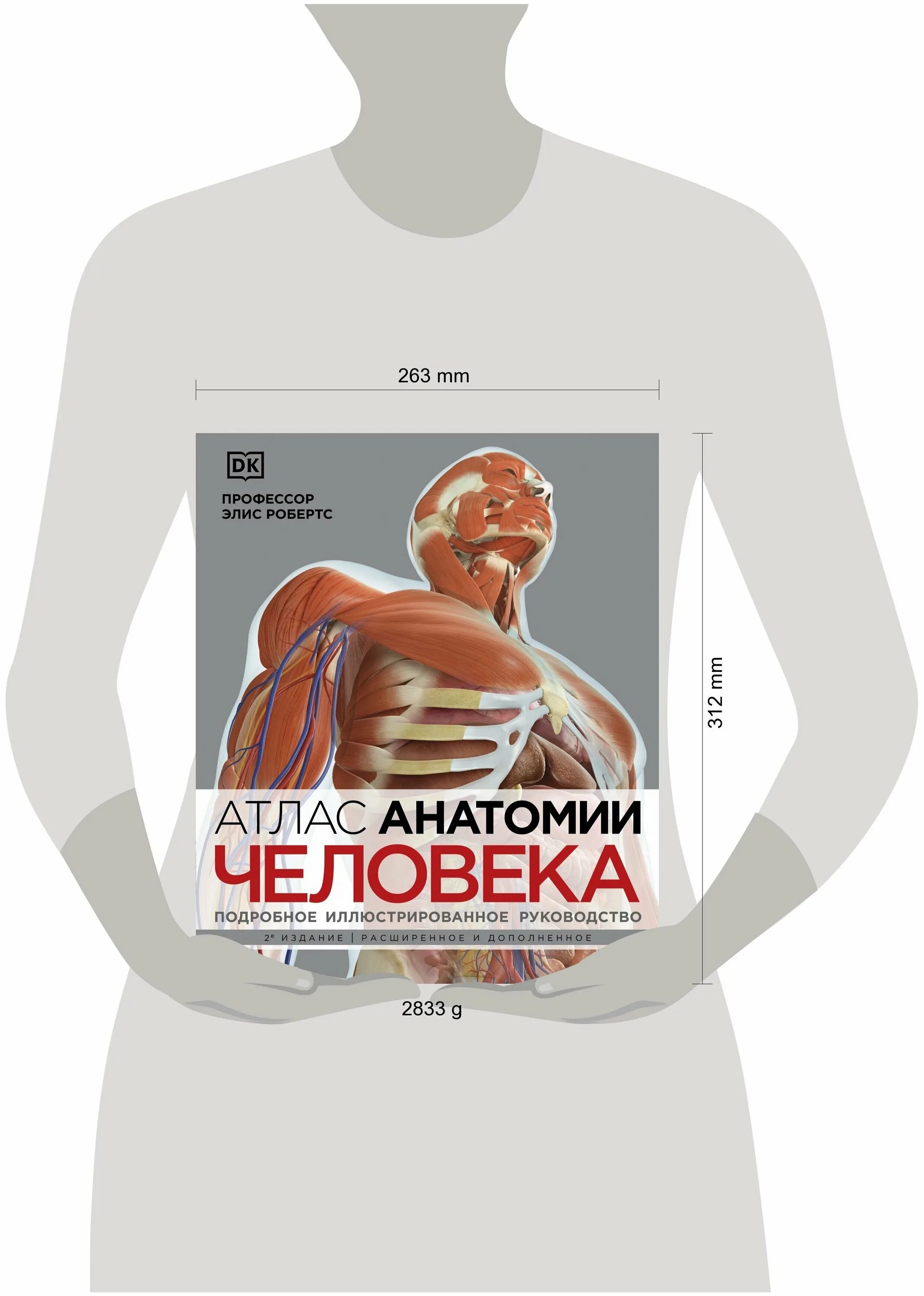 большой иллюстрированный атлас анатомии человека. анатомия человека иллюстрированный атлас. иллюстрированный атлас» (2006), адольфо касан. иллюстрированный атлас анатомии человека. иллюстрированный атлас анатомии человека роен йокочи 6- е издание.