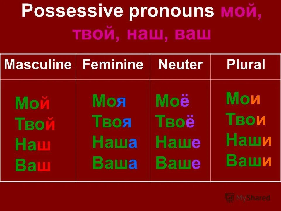 Местоимения мой твой наш ваш свой изменяются. Possessive pronouns мой твой наш ваш. Possessive местоимения. Притяжательные местоимения мой твой наш ваш. Possessive pronouns правило.