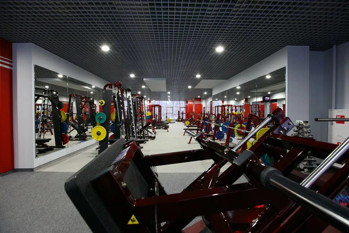 Терфит королев. Терфит печатники бассейн. Территория fitness. Территория fitness. Терфит королев.