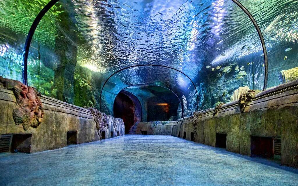 Москва дмитровское шоссе 163а океанариум № 1. Океанариум рио москва. Океанариум в москве на дмитровском шоссе. Океанариум рио москва. Океанариум дмитровское шоссе 163.