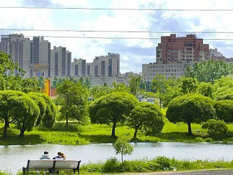 Деревья для городского озеленения. Зеленые зоны в городе. Зеленые насаждения города москва. Озеленение москвы. Зеленые насаждения.