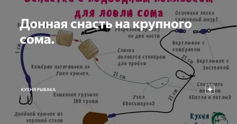Ловля сома на донку с берега