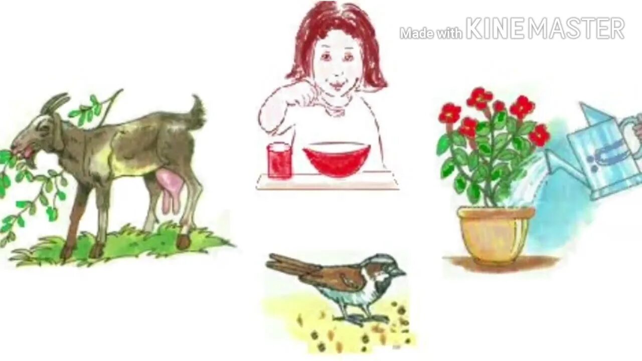 =why+need+water+for+living+things. Living things is. Characteristics of living organisms. Living things is. Living non living.