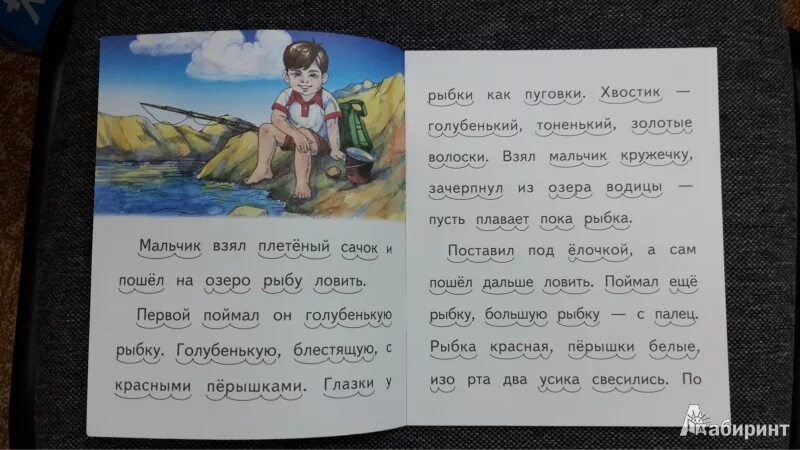 Кружечка под елочкой читательский дневник. Кружечка под елочкой читательский дневник. Б житков кружечка под елочкой. Кружечка под ёлочкой. Карел чапек рассказы из одного кармана иллюстрации.