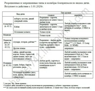 С каким калибром на кого охотиться