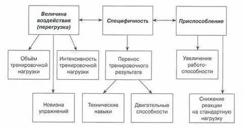 Законы адаптаций