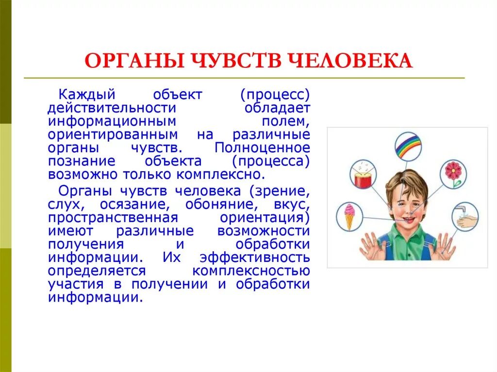 Источники чувств человека. Органы чувств человека. Строение и работа органов чувств. Факты о органах чувств человека. Интересные факты о строении и работе органов чувств.