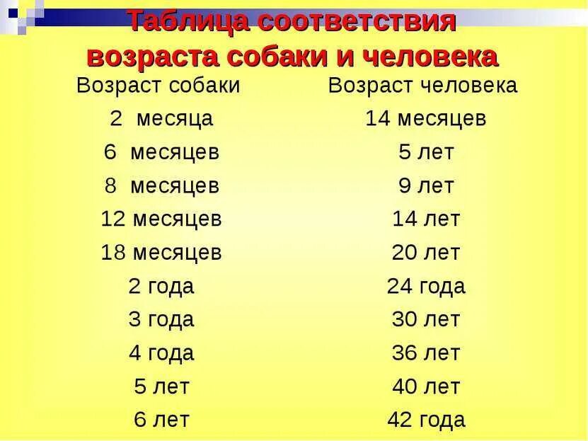 Возраст человека и животных. Соотношение возраста собаки и человека по месяцам таблица. возраст собаки по отношению к человеку таблица. таблица измерения возраста собаки и человека. таблица соответствия возраста собаки.