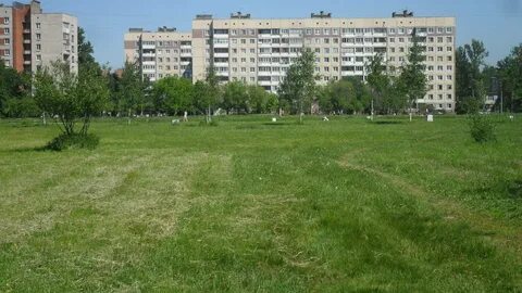 Улица димитрова петербург