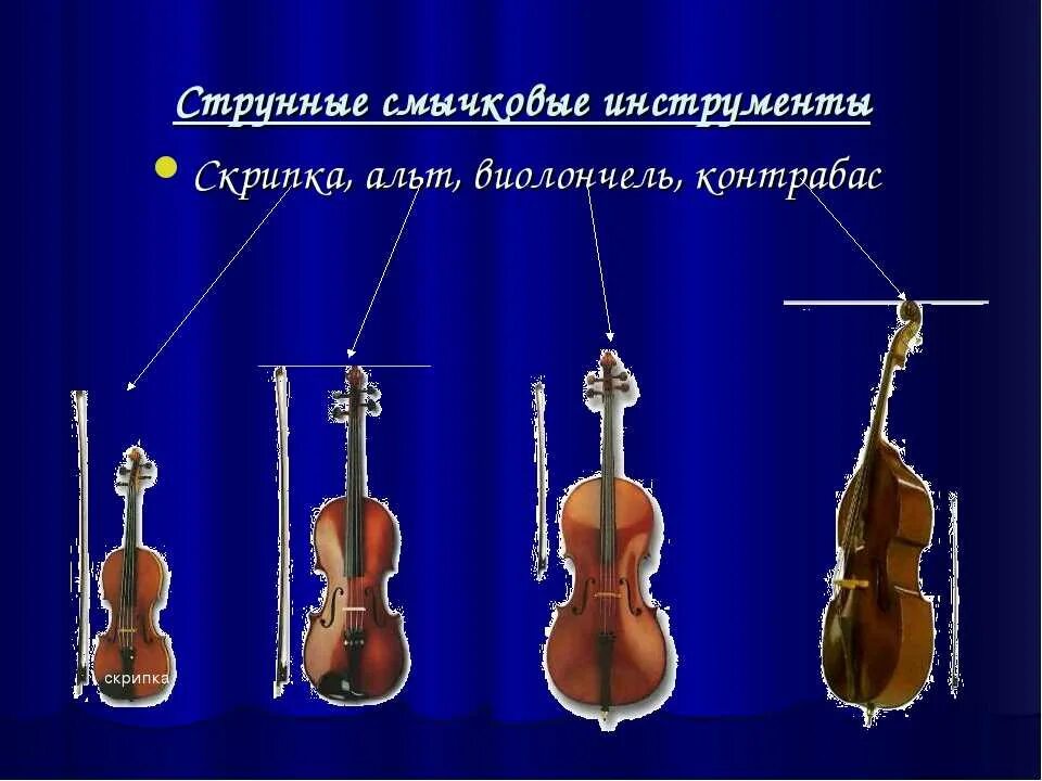 Детали скрипки. Виолончель альт скрипка струнные смычковые. Строение альта инструмент. Детали скрипки названия. Строение струнно смычковые инструменты.