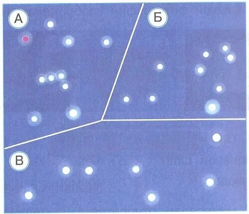 Миф о созвездии орион. Какое созвездие названо в честь охотника. Созвездие орион презентация. Созвездия и названия их звезд. Созвездие по имени охотника.