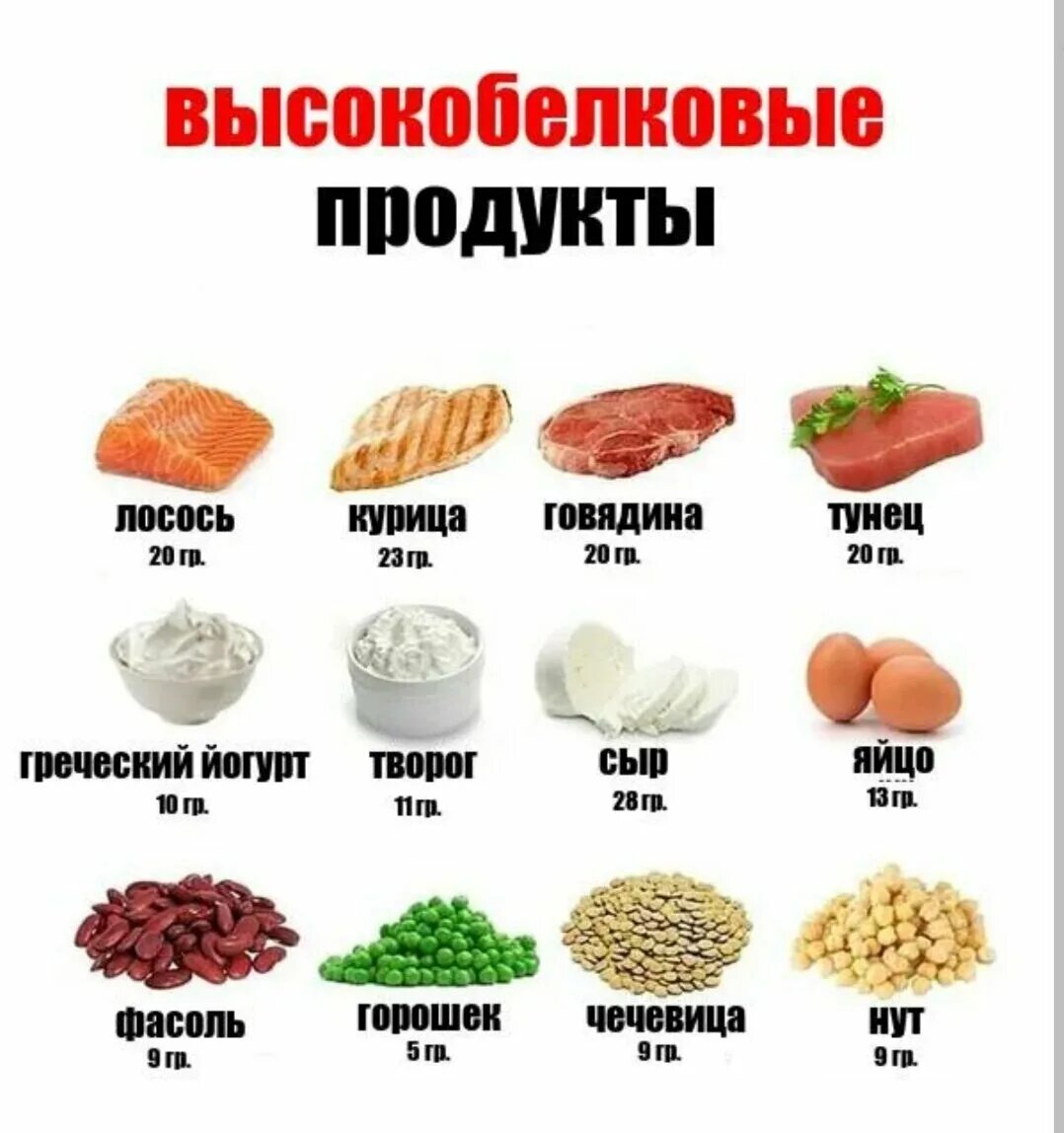 В каких продуктах есть мясо. Продукты с высоким содержанием белка. Список продуктов содержащих белок. В каких продуктах содержится белок. Белок продукты с высоким содержанием белка.