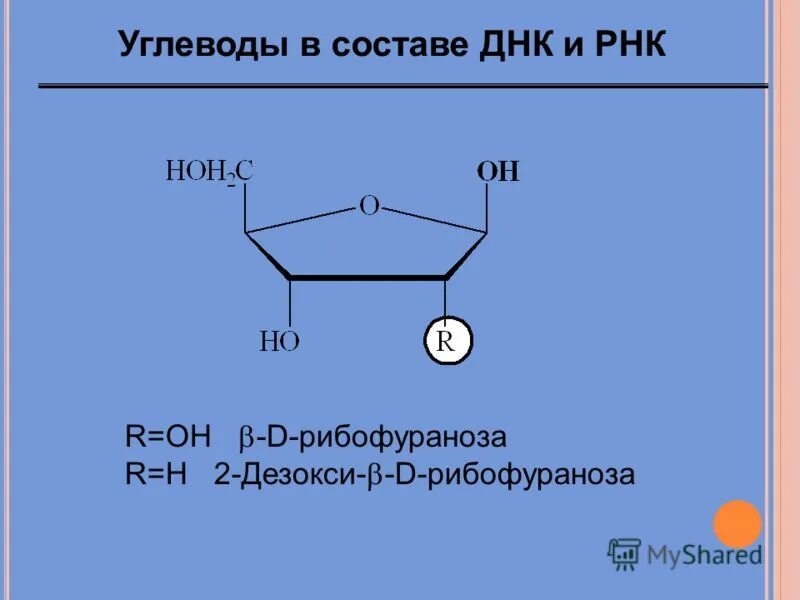 Углеводы днк и рнк. Рибофураноза. 2-Дезокси-d-рибофураноза. Альфа рибофураноза. Углевод в составе ДНК.