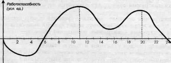 Фазы работоспособности. Фазы динамики работоспособности. Изменения функций и работоспособности человека в течение суток. Изменение работоспособности в течение суток. Динамика работоспособности школьников.