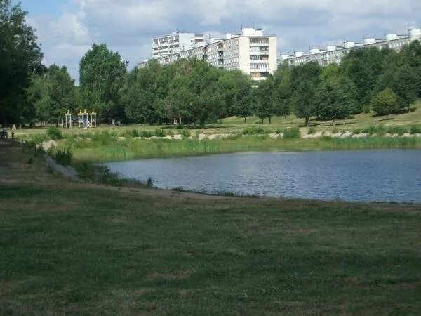 красный пруд в москве. красный пруд (красносельский). красный пруд в москве. центральное чертаново водоемы. красный пруд в москве.