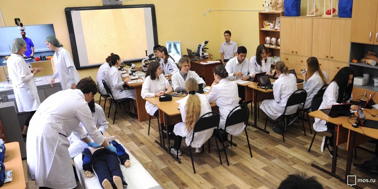 Современные хирургические школы