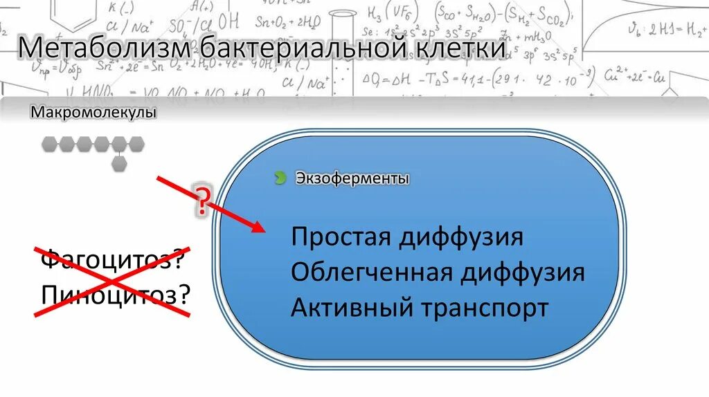 Гиповолемический шок картинки. Обмен веществ микробной клетки. Энергетический метаболизм. Виды энергетического метаболизма у бактерий. Типы энергетического метаболизма бактерий.