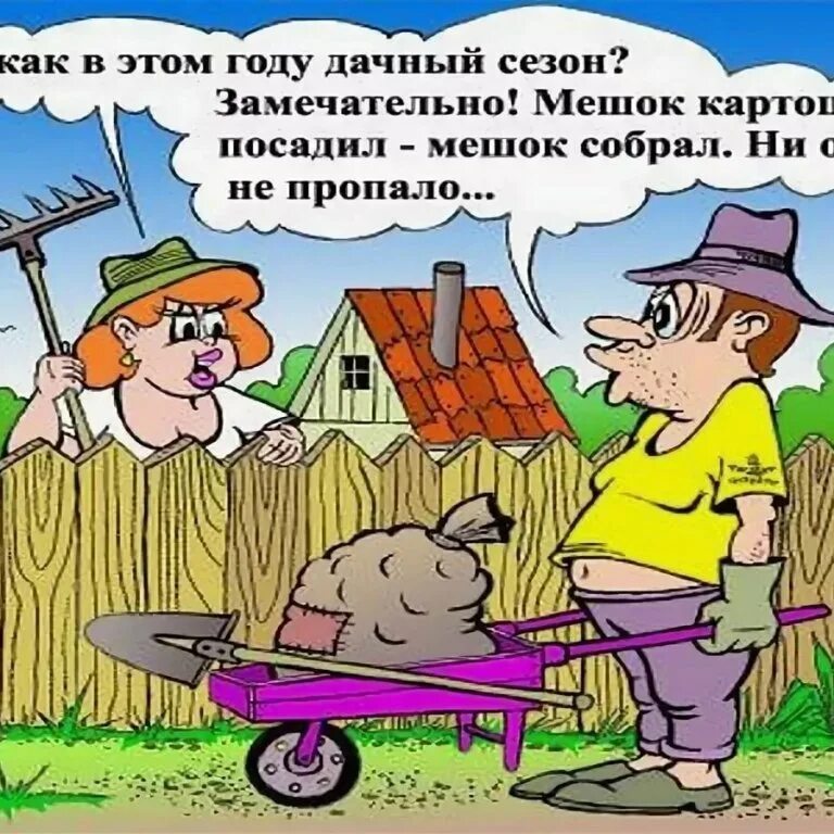 Прикольный дачник. Дачники юмор. Карикатуры про огород смешные. Приколы про огород. Дача поздравление.