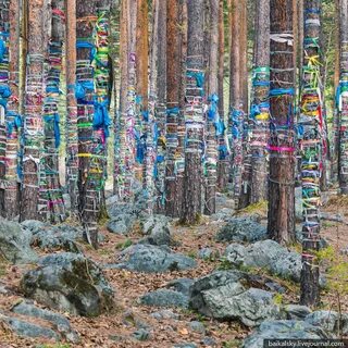 Священная роща