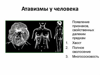 К атавизмам относятся