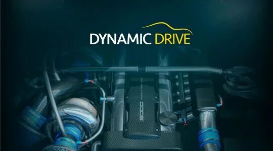 Система динамик драйв бмв х6. Dynamic drivers. Активная подвеска dynamic drive. Dynamic drivers. Dynamic drive failure vehicle перевод.