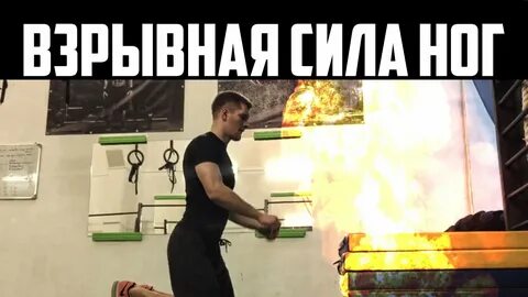 Взрывная сила мышц ног