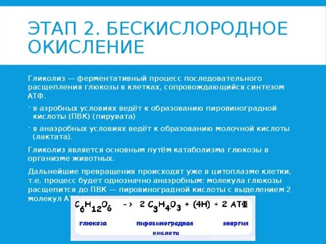 В бескислородных условиях живет. Пировиноградная кислота окисляется до углекислого газа и воды. Бескислородное окисление. Пировиноградная кислота окисляется до окончательных продуктов. Бескислородное расщепление Глюкозы.