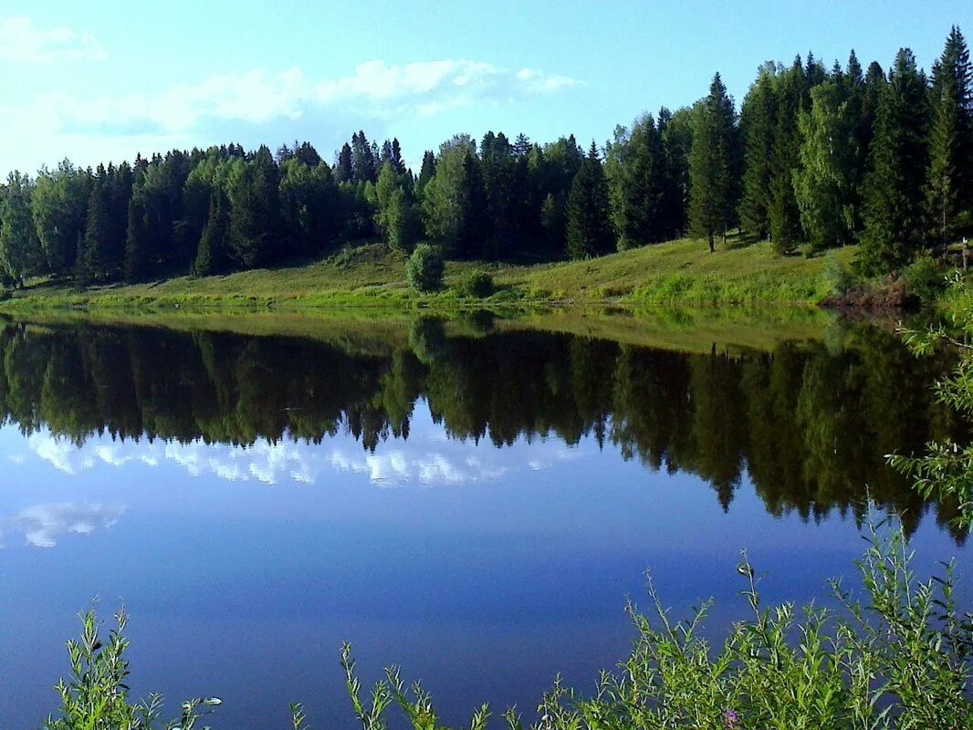 Петропавловск пермский край. Сарс Октябрьский район Пермский край. Поселок Сарс Пермский край Октябрьский район. Пермский край поселок Октябрьский природа. Река Сарс Пермский край.